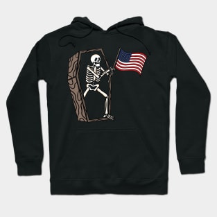 Usa skull Hoodie